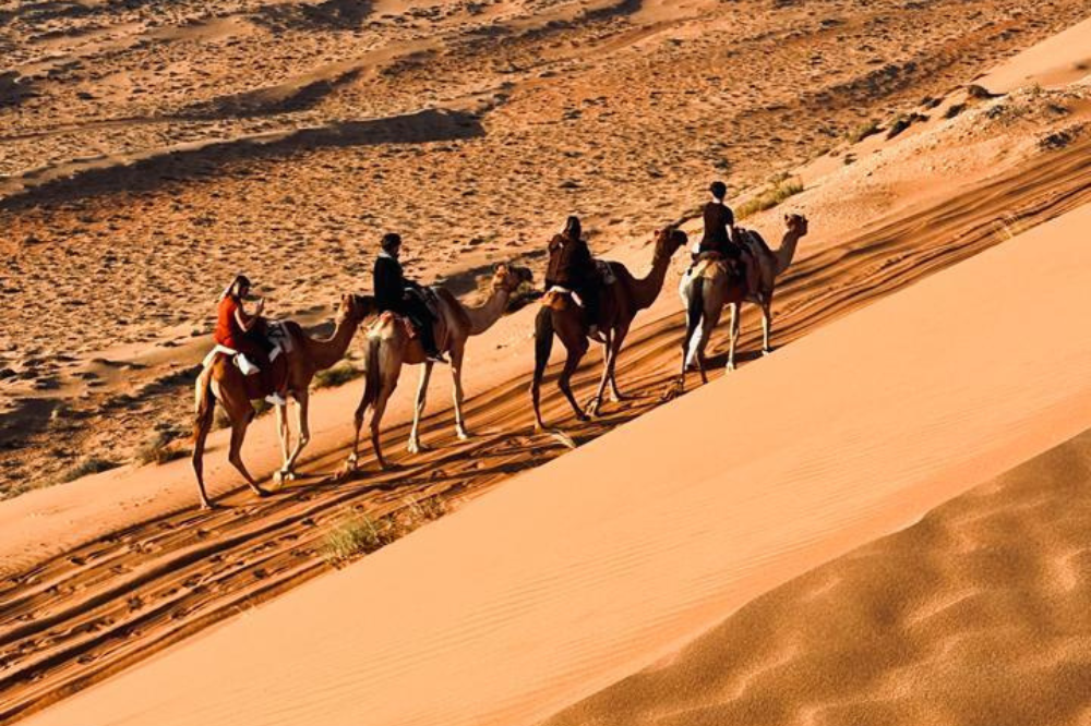 Untitled design - 2026-02-16T143152.222